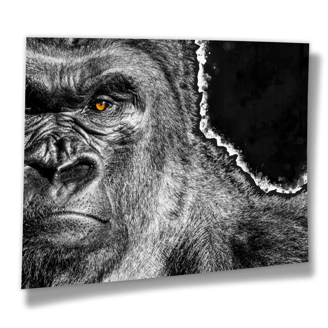 Gorilla | Plakat