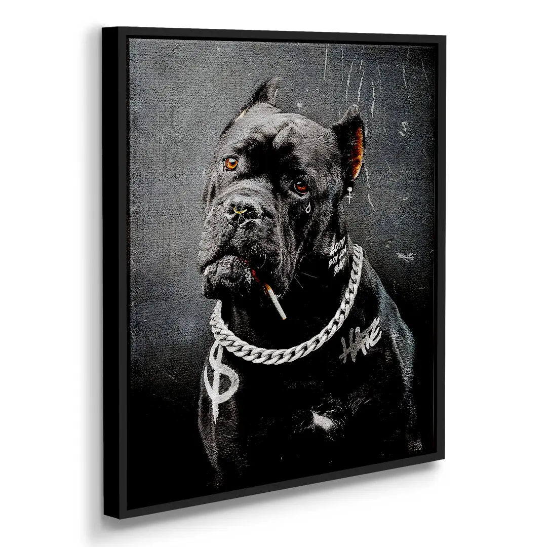 Cane Corso Bad Boy | Obraz