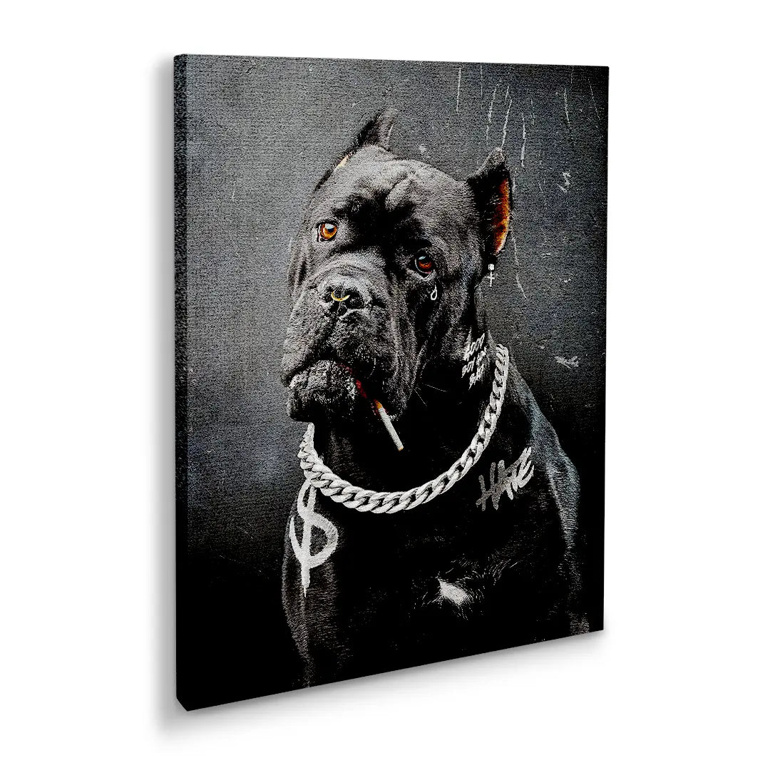 Cane Corso Bad Boy | Obraz