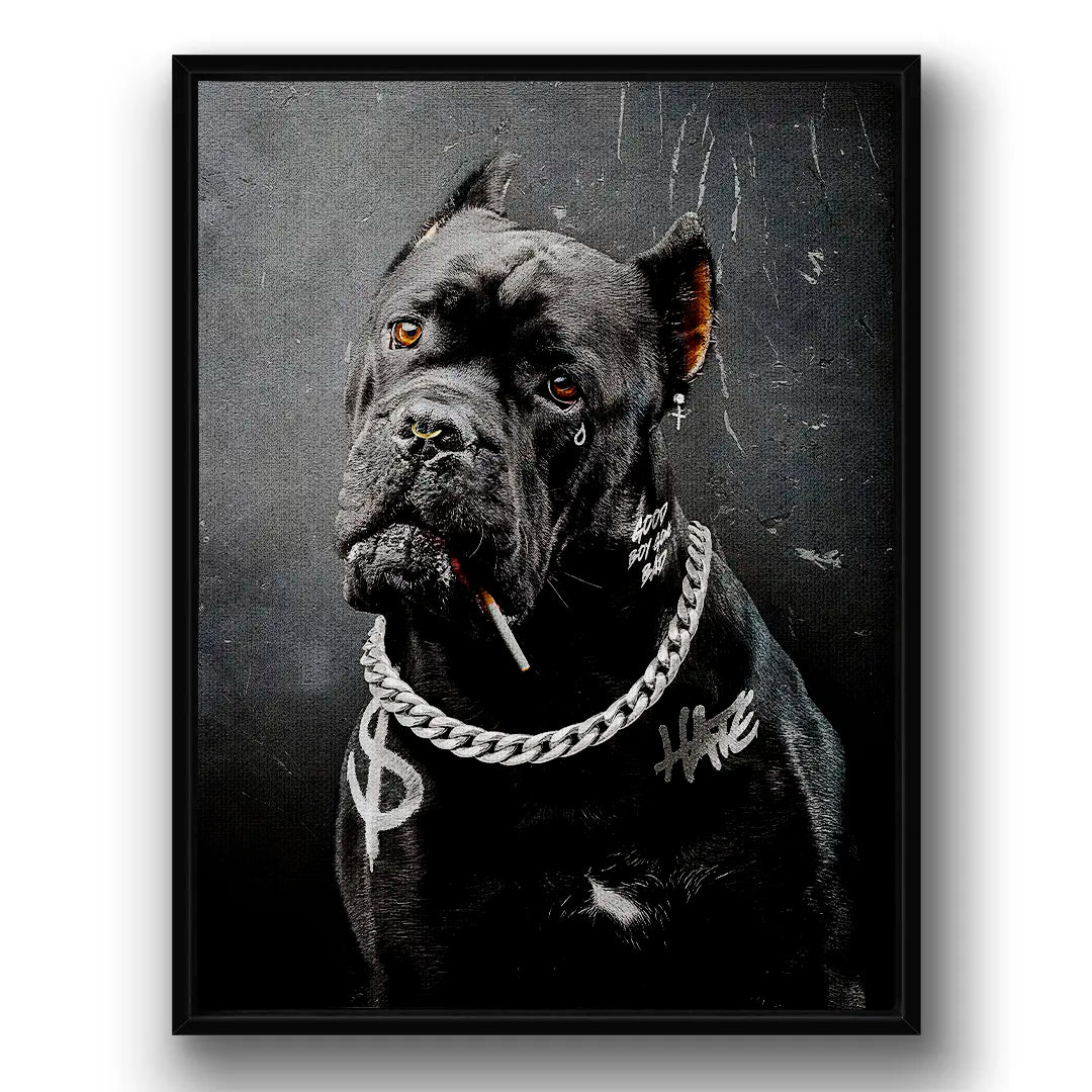 Cane Corso Bad Boy | Obraz