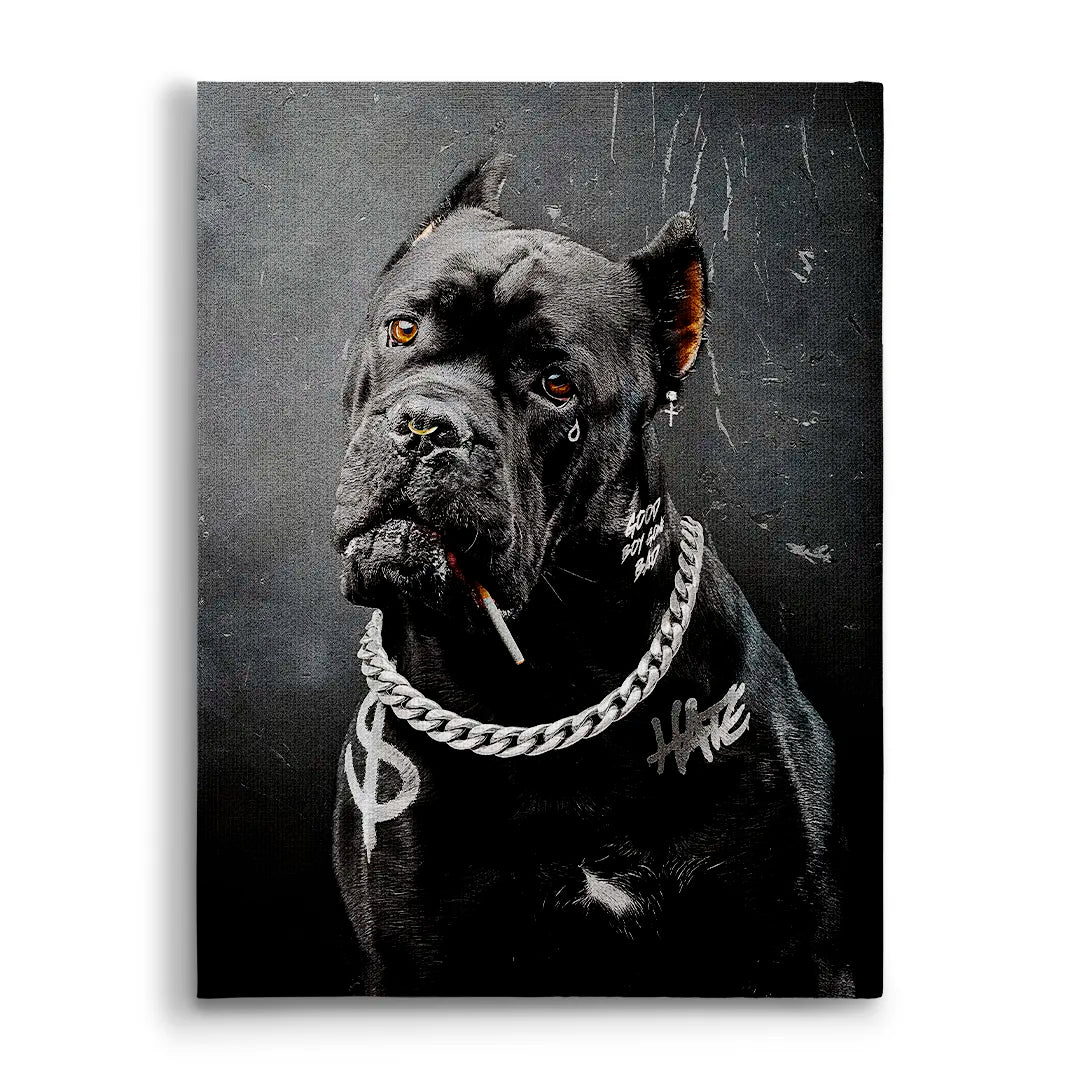 Cane Corso Bad Boy | Obraz