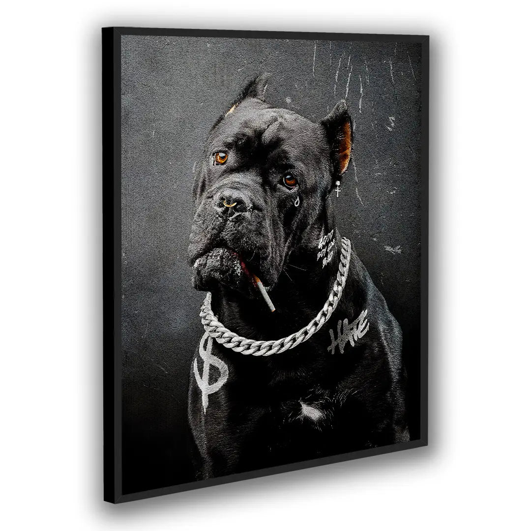 Cane Corso Bad Boy | Plakat