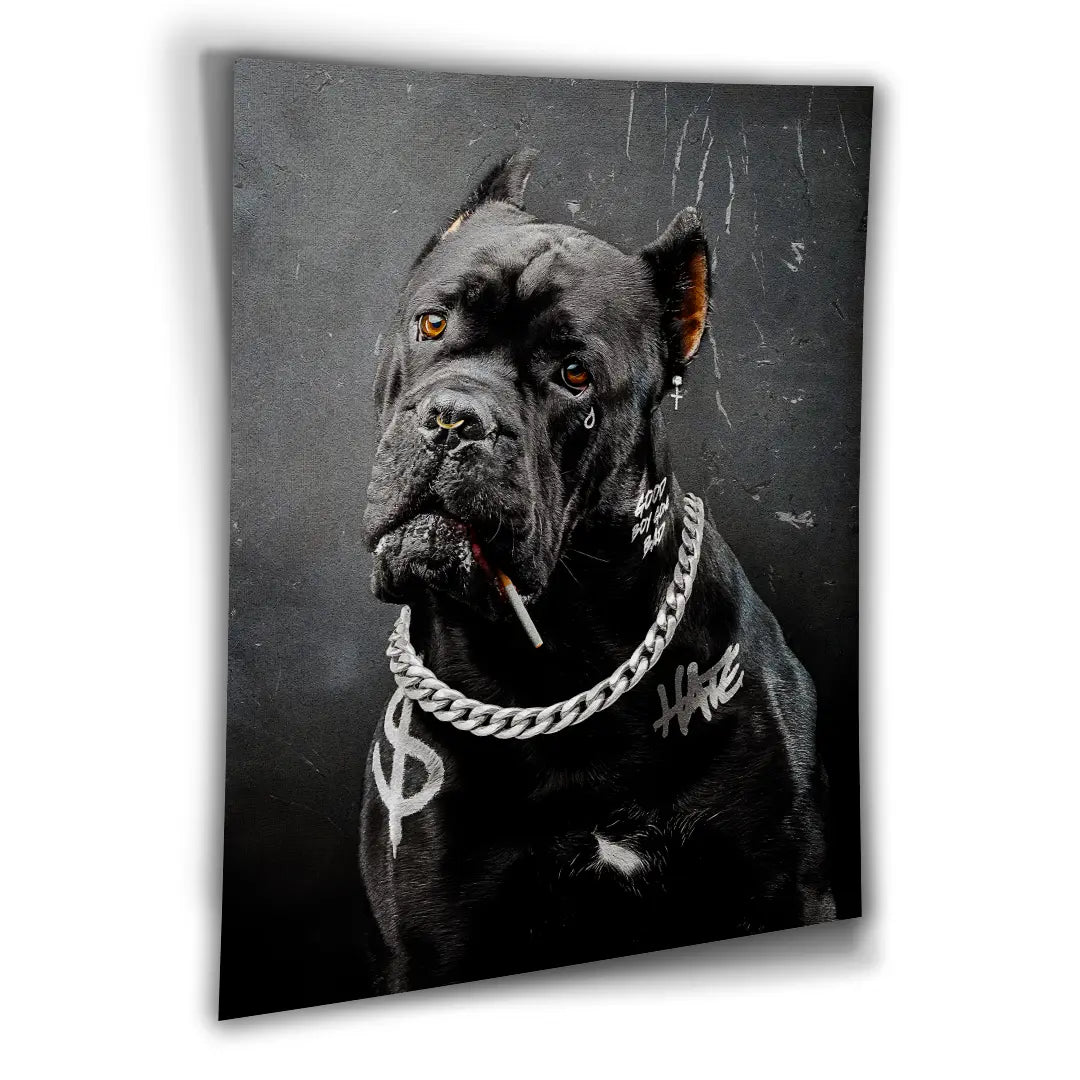 Cane Corso Bad Boy | Plakat