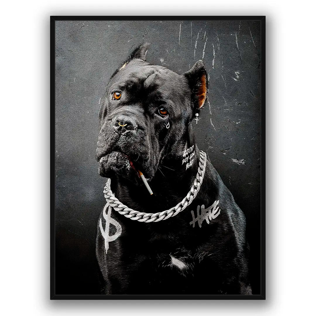 Cane Corso Bad Boy | Plakat