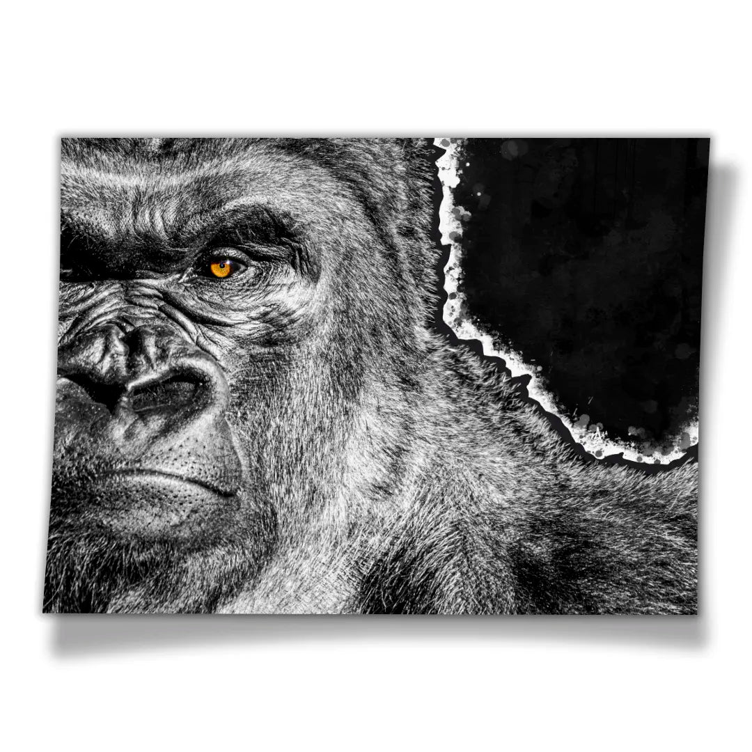 Gorilla | Plakat