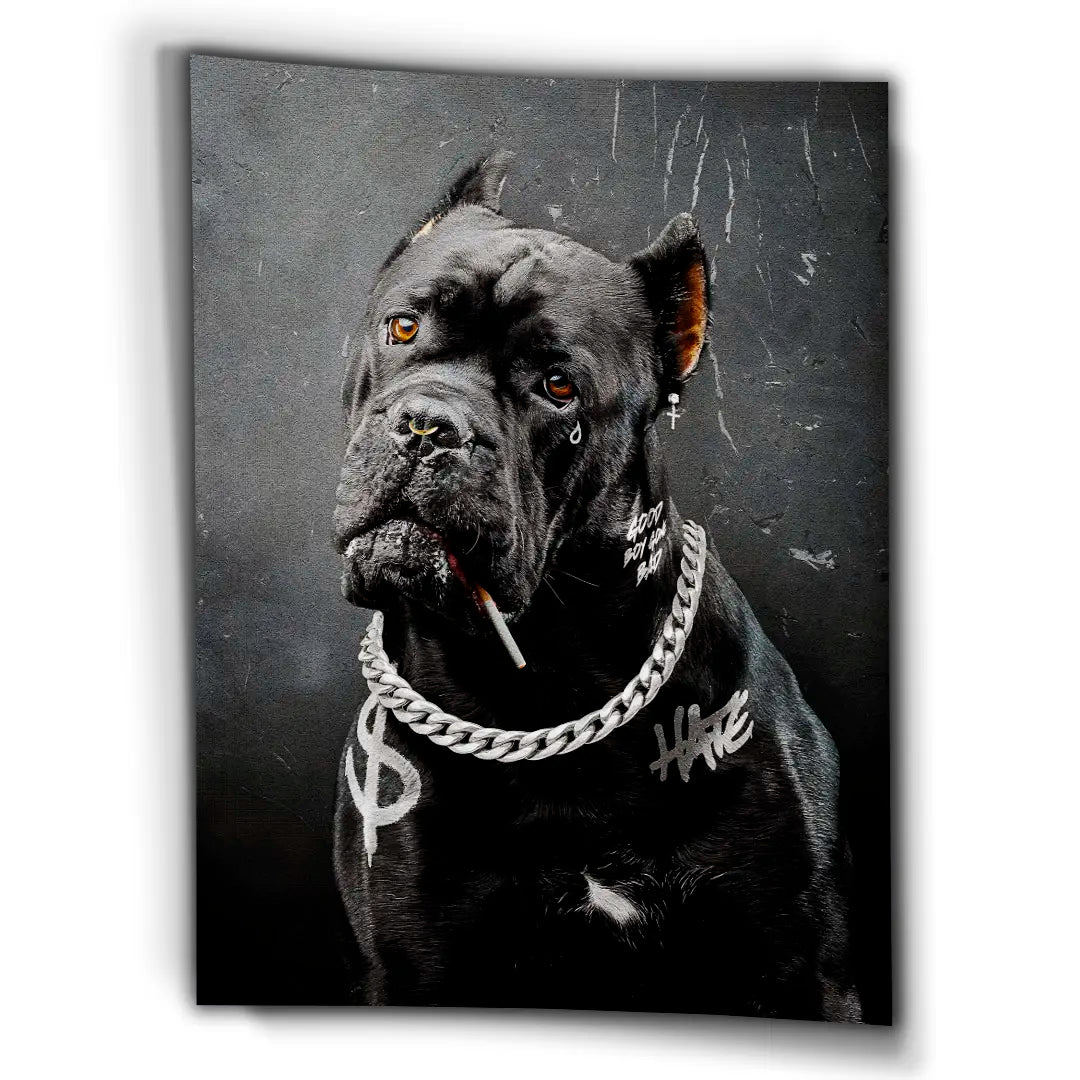 Cane Corso Bad Boy | Plakat