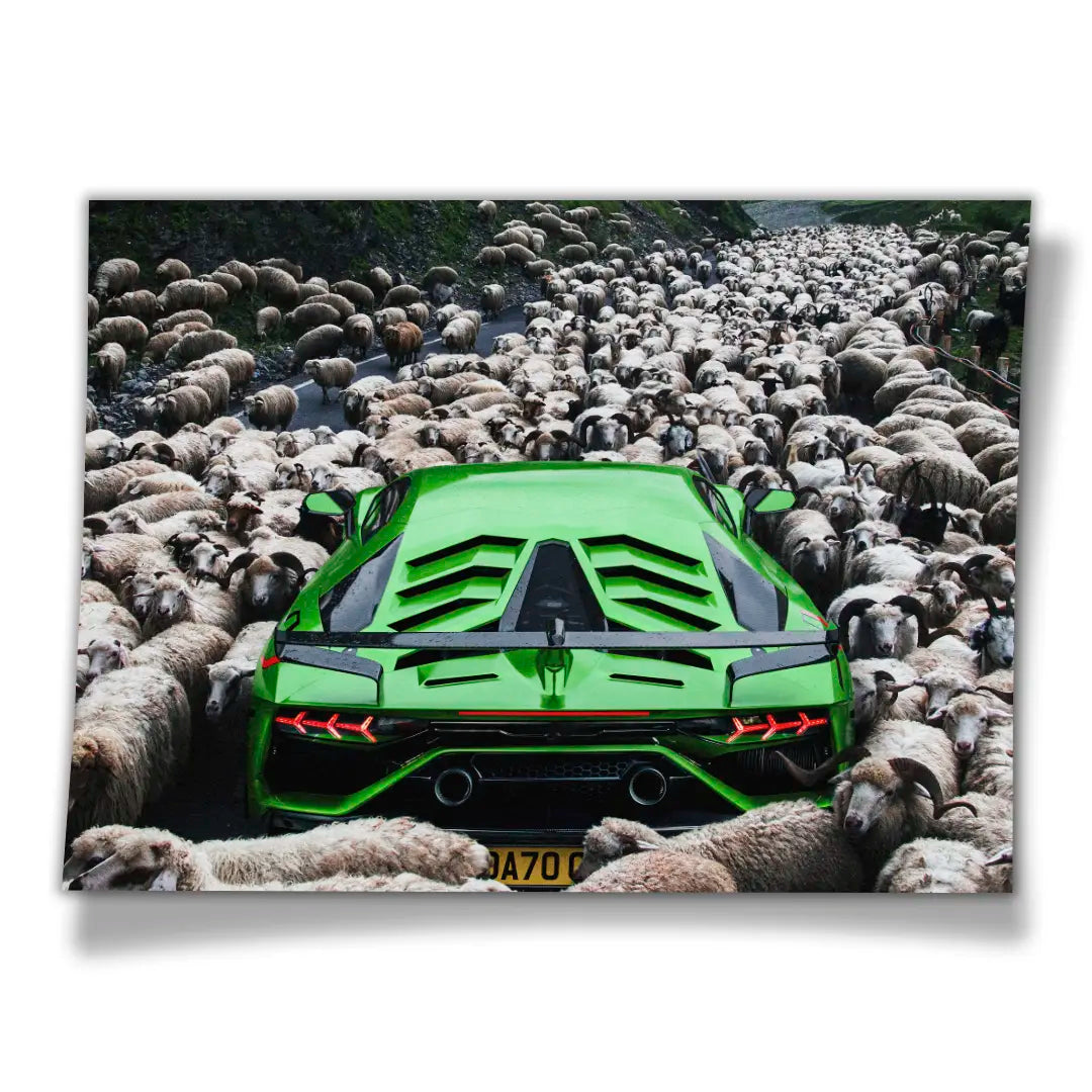 Zielone Lamborghini | Plakat